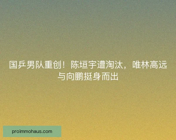 国乒男队重创！陈垣宇遭淘汰，唯林高远与向鹏挺身而出