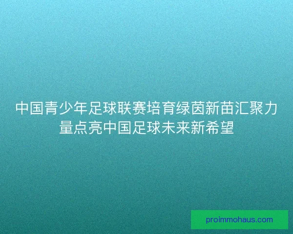中国青少年足球联赛培育绿茵新苗汇聚力量点亮中国足球未来新希望